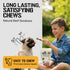 7-9 inch, 6 Dog Chits Beef Tendons for Dogs & Puppies - High Protein, Low Fat - All Natural Beef Tendon Chew - Chewy