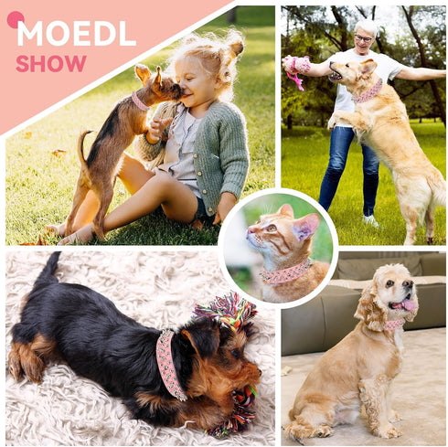 PETCARE Spiked Dog Collar, Pink Soft PU Leather with Funny Mushrooms Rivet Spike Studded Design, Adjustable for Small