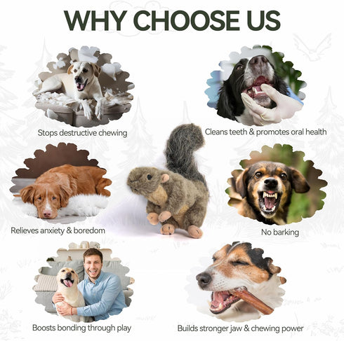 ALL FOR PAWS Interactive Dog Squirrel Plush Squeaky Toy, Perfect Puppy Enrichment Toy, Large