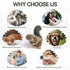 ALL FOR PAWS Interactive Dog Squirrel Plush Squeaky Toy, Perfect Puppy Enrichment Toy, Large