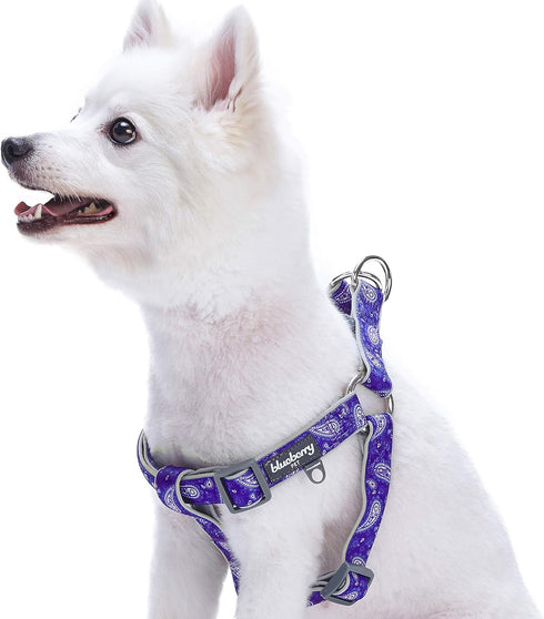 Blueberry Pet 5 Colors Soft Step-in Paisley Flower Print Dog Harness - Adjustable Medium Harness, Chest Girth 20" - 26"