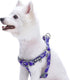 Blueberry Pet 5 Colors Soft Step-in Paisley Flower Print Dog Harness - Adjustable Medium Harness, Chest Girth 20" - 26"