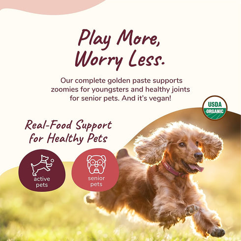 kin+kind Hip+Joint Supplement for Dogs & Cats, Vet Formulated Natural Formula with Organic Turmeric, Black Pepper,
