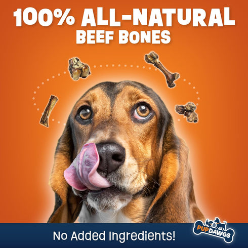 Single Ingredient Dog Bones, 8 Piece Pack - Made in USA Beef Femur Bones for Aggressive Chewers
