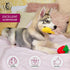 Pets&Goods Plush Squeaky Chew Toys for Small Dogs, 6-Pack Fruit & Vegetable Toy Set