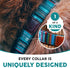 Embark Urban Dog Collar – Stylish & Durable Nylon Dog Collar for Large, Medium & Small Dogs