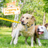 XiaZ Dog Bungee Tug Toy, Outdoor Hanging Tug of War Toy for Small Medium Large Dogs