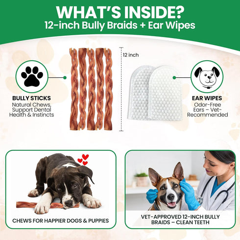 12 3 Count 100% Odor Free Braided Bully Sticks for Dogs - - Natural Grass-Fed Beef Braided Dog Chews, High Protein