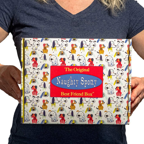 Dog Birthday Treat Gift Box - Gift-Shaped Treat Dispenser with USA-Made Treats for Small Dogs
