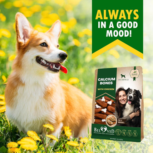 Dog Chew Treats Calcium Bones Wrapped Chicken & Rawhide Free - Grain Free Snacks for Training Dogs