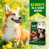 Dog Chew Treats Calcium Bones Wrapped Chicken & Rawhide Free - Grain Free Snacks for Training Dogs