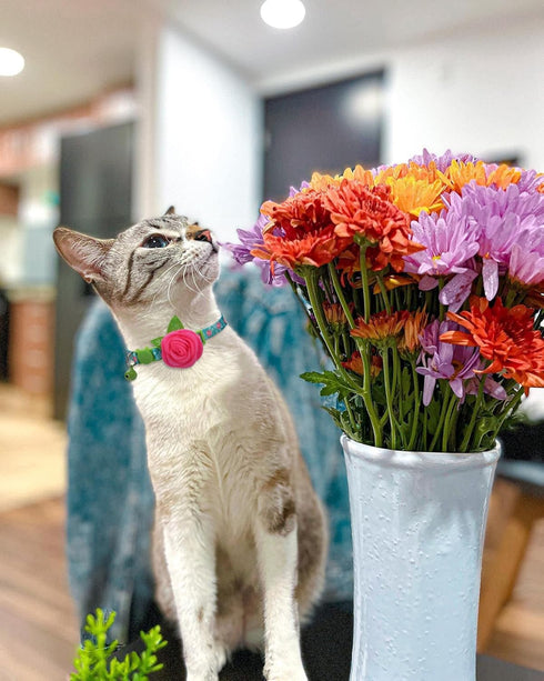 Spring Cat Collar, Floral Kitten Collar Breakaway, Flower Dog Collar for Small Female Dogs