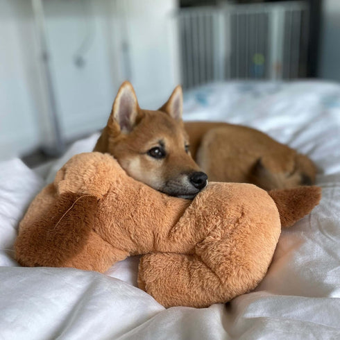 Original Snuggle Puppy Toys - Heartbeat Puppy for Dogs, Pet Anxiety Relief and Calming Aid
