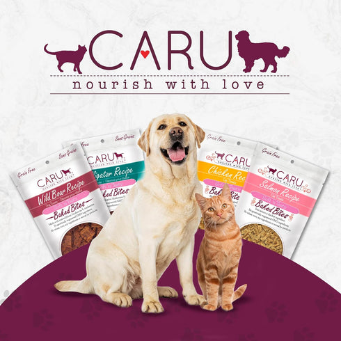 CARU Soft 'n Tasty Baked Bites, Chicken Bites Dog Treats, 4 oz, Flavorful Training Treats