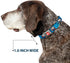 Dog Collar Seatbelt Buckle - Kawaii Thor Poses Hammer Monogram Blues, 15 to 26 Inches, 1.0 Inch Wide