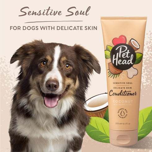 PET Head Sensitive Soul Conditioner for Dogs, 8.4 fl. oz. Coconut Scent, Hypoallergenic Gentle Formula