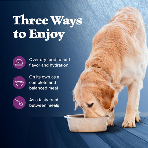 Pack Dogs,Grain-Free,12.5 oz Cans,(Pack 12) Blue Buffalo Wilderness High Protein Beef and Chicken & Salmon and Chicken