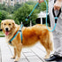 Rope Dog Leash with Comfortable Hand Grip, 6.5 FT Long - Safe for Night Walking, Suitable for Small Dogs