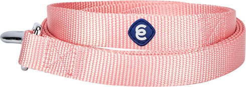 Blueberry Pet Essentials Durable Classic Dog Leash, Basic Nylon 4ft. x 1" Large Dog Leash, Baby Pink for Training