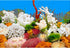 New 23" x 71" Fish Tank Background, 2 Sided River Bed & Lake Design