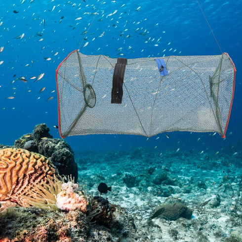 3pcs 50x20x20cm Luxshiny Folding Lobster Trap and Minnow Fishing Net with Spring Frame Small Mesh Bait Trap