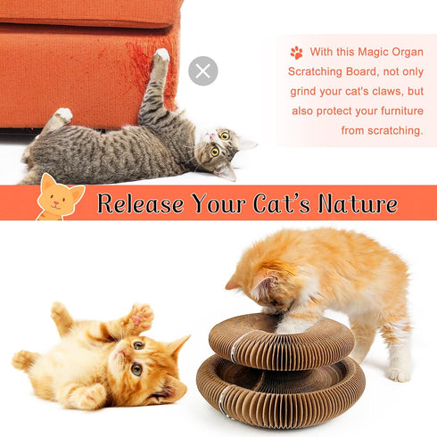 Magic Organ Cat Scratching Board with a Toy Bell Ball, Foldable Cat Claw Grinding Board and Recyclable Round Cardboard Cat Scratcher Pad Toy for Kitty(Black)