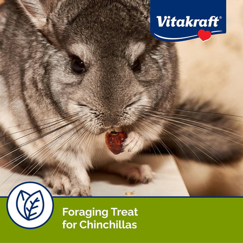 Vitakraft Chinchilla Cocktail Mixed Fruit Treat, 4.5 oz Pouch