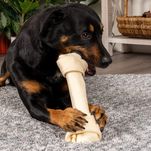 Pet Factory 13-15" Beefhide Knotted Bone Dog Chew Treat - Natural Flavor, 1 Count, 100% Made in USA
