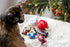 Pearhead Hot Cocoa Christmas Cat Toy Set, Holiday Gift, Set of 2 Plush Rattle Toys