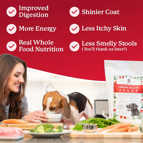 Dr. Harvey's Canine Health Miracle Dog Food, Human Grade Dehydrated Base Mix, Organic Whole Grains, 6.5 oz