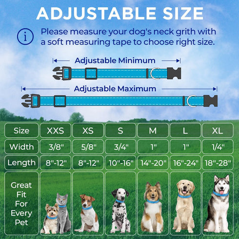 TECEUM Reflective Pet Collar – Basic Nylon Dog Collar – Quick Release Buckle – Sky Blue – M – Extra Soft Padding – Fits