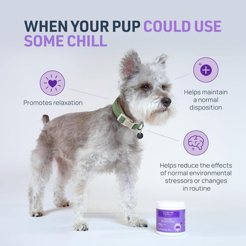 Veterinary Formula Smart Vitality Pet Calm Supplement for Dogs - Soft Chews, 30ct - Promotes a Sense of Relaxation During Moments That May Cause Stress - Fireworks, Travel, Changes in Routine