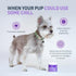 Veterinary Formula Smart Vitality Pet Calm Supplement for Dogs - Soft Chews, 30ct - Promotes a Sense of Relaxation During Moments That May Cause Stress - Fireworks, Travel, Changes in Routine