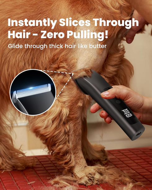 2 Timmer PAPMINI Dog Clippers for Grooming Thick Hair with Undercoat Rake, Low Noise Cordless Dog Grooming Kit
