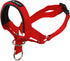 Dog Head Collar Halter Red (S: 6.5"-8.25" Snout) - 6 Sizes Available