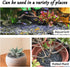 2.4 lb CJGQ Decorative River Rocks Pebbles for Succulents, Cacti & Gardens, Aquarium Gravel, Fish Tank Rocks