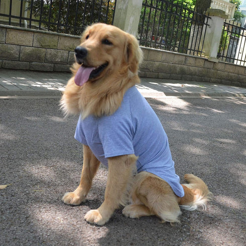 Lovelonglong 2019 Pet Clothing Dog Costumes Basic Blank T-Shirt for Medium Large Dogs, Gray XXXL