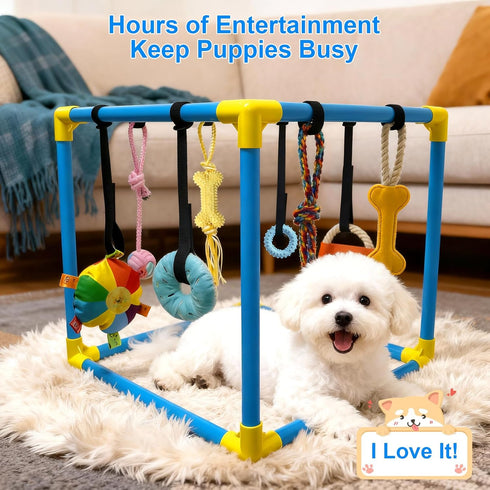 8 19.5" Puppy Play Gym with Hanging Toys - Indoor Jungle Gym for Small Dogs, Interactive Enrichment Activity Center