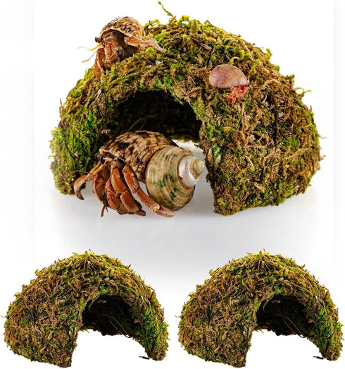 ORBIDYN Hermit Crab Accessories 2PCS Climbing Toys & Habitat Domes, Natural-Look Shelter Cave,