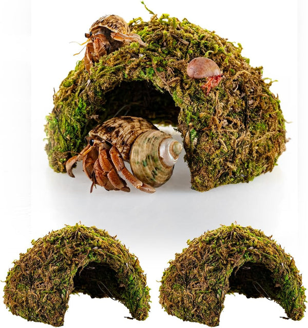 ORBIDYN Hermit Crab Accessories 2PCS Climbing Toys & Habitat Domes, Natural-Look Shelter Cave,