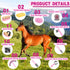 12 Sets Abbylike Pieces Horse Grooming Kit Racing Festival Tack Room Supplies Horse Brush Equine Care Cleaning Kit
