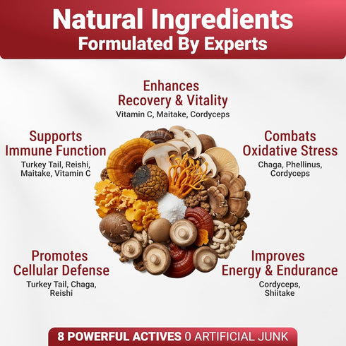 Immune WuffWell Turkey Tail Mushroom Supplement for Dogs - Support Mushrooms - Dog Mushroom Supplements for Health