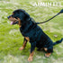 Braided Rope Dog Leash - 2FT Traction Lead for Medium/Large Dogs, Black Walking Training