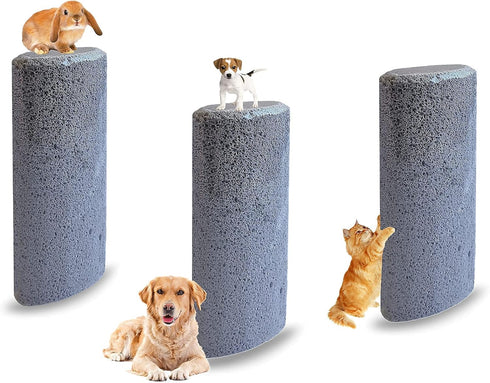 Pet Hair Remover Brush, Clean Cat Dog Hair from Carpet, Bedding, Car Clothing, 3 Pack