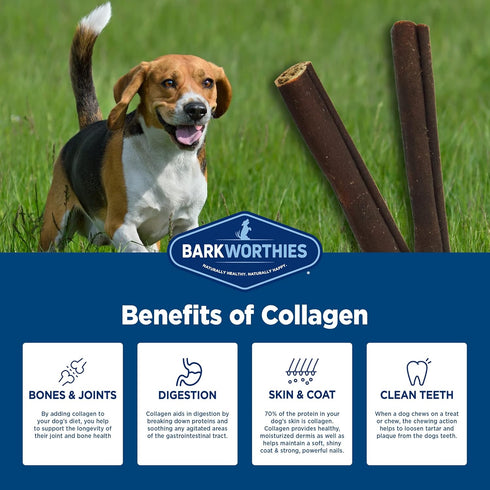 Barkworthies Collagen Sticks 6-Inch 3-Count, Great Tasting, Highly Digestible Dog Chew