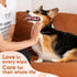 Unscented Pet Wipes (400pcs) - Hypoallergenic, Alcohol-Free for Sensitive Skin - Safe for Dogs & Cats