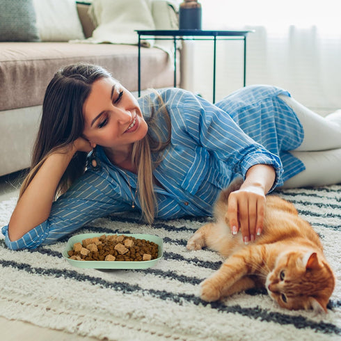 Whisker Fatigue Relief Cat Bowl, 6 Inch Shallow Dish for Cat Wet Feeding, Small Pet Plate for Kittens and Short Legged