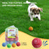 4 Pack 2.0" AMA SPORT Squeaky Tennis Balls for Dogs Small Tennis Balls for New Puppy Small Dog Toys for Fetch