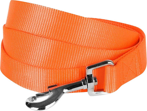 Blueberry Pet Essentials Florence Orange Dog Leash - 4' * 1" for Large Dogs | Heavy Duty Nylon Lead for Walking &