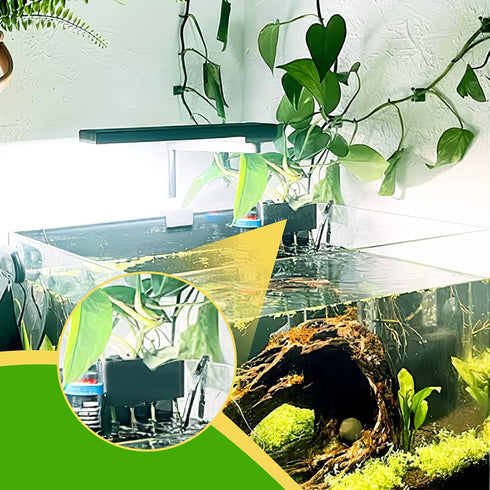 5 1.5inch Aquarium Plant Holder with Hole, Plastic Aquatic Plant Pot, Aquarium Planter Cups for Aquarium Plants Live